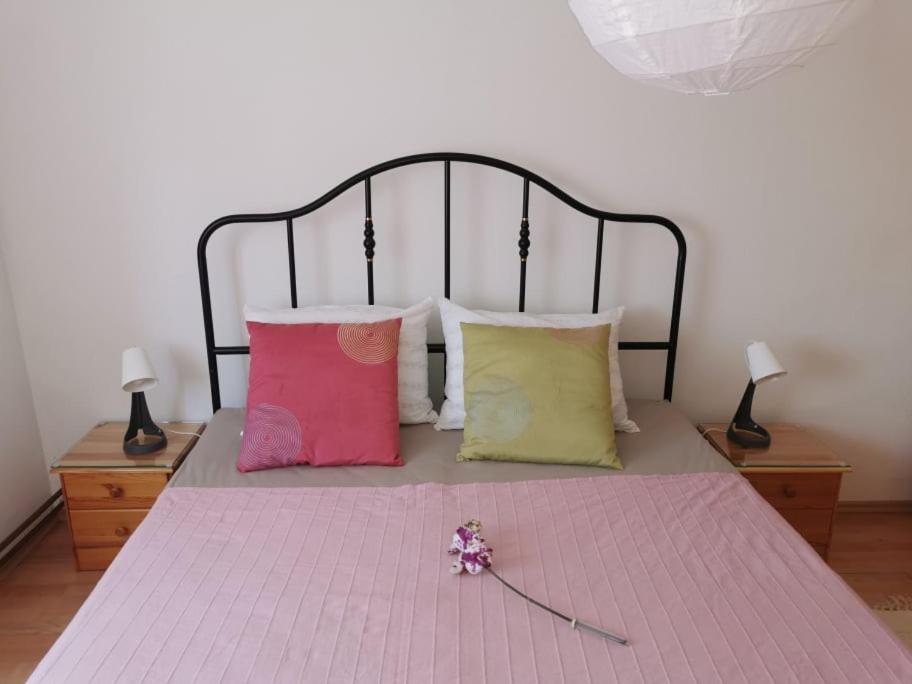 Apartma Lindau レンダヴァ エクステリア 写真