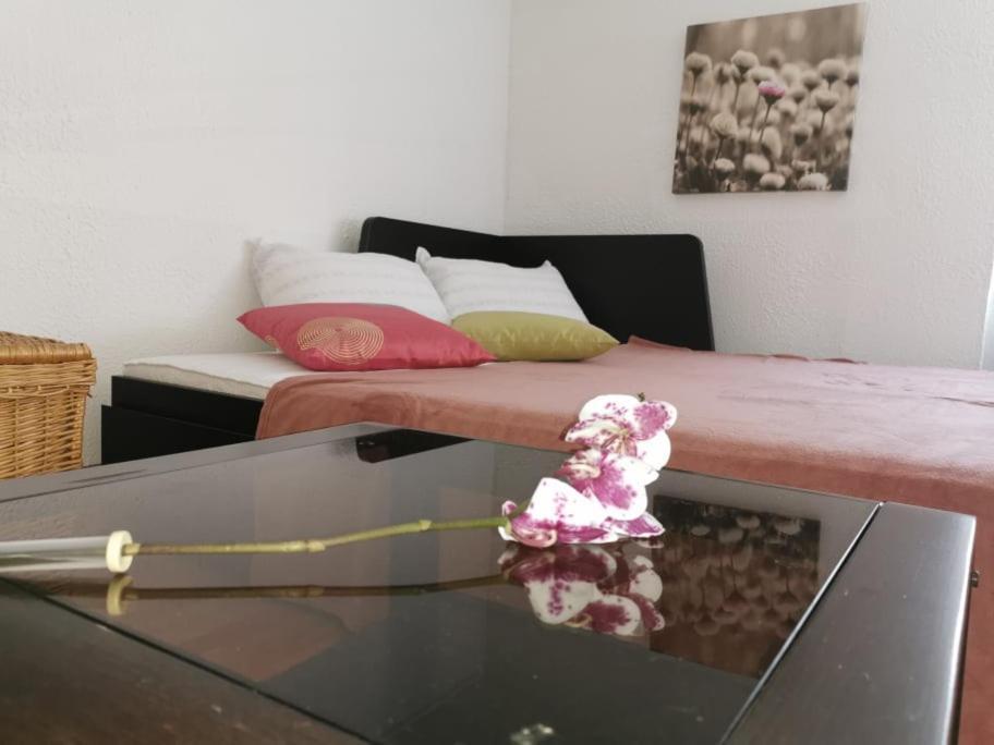 Apartma Lindau レンダヴァ エクステリア 写真
